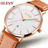 OLEVS Men's Watches Top Brand Luxury Men Sport Wristwatch Waterproof 30m Ultrathin Quartz Watch Date Clock Male Leather Watches